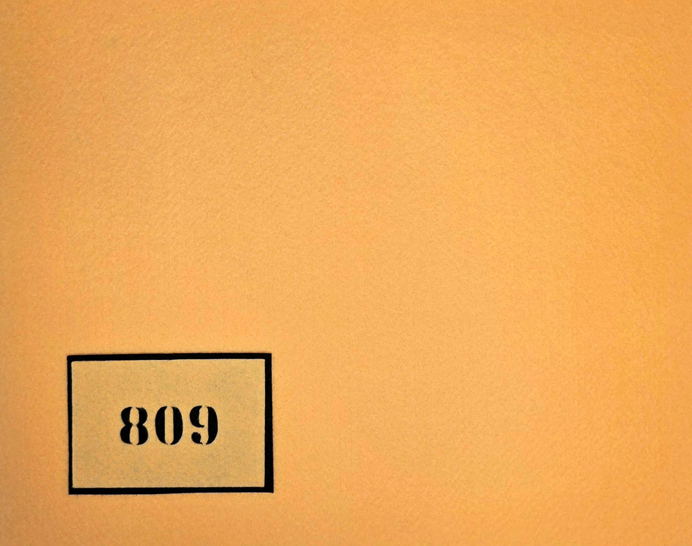 809 9x11