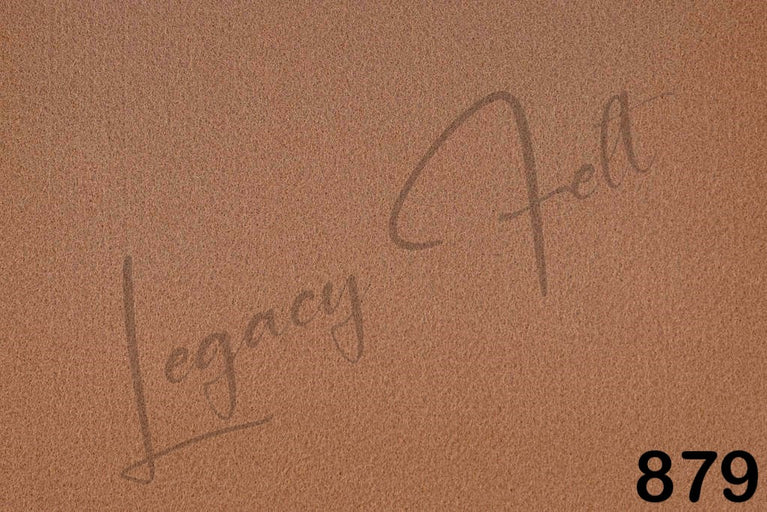 879 LIGHT BROWN 9x11